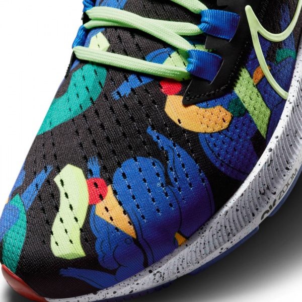 Кросівки Nike Air Zoom Pegasus 38 A.I.R. Kelly Anna London DD1827-001 р.US 12,5 різнокольоровий