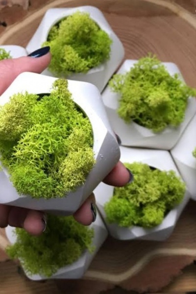 Кашпо декоративне Businkos білий бетон