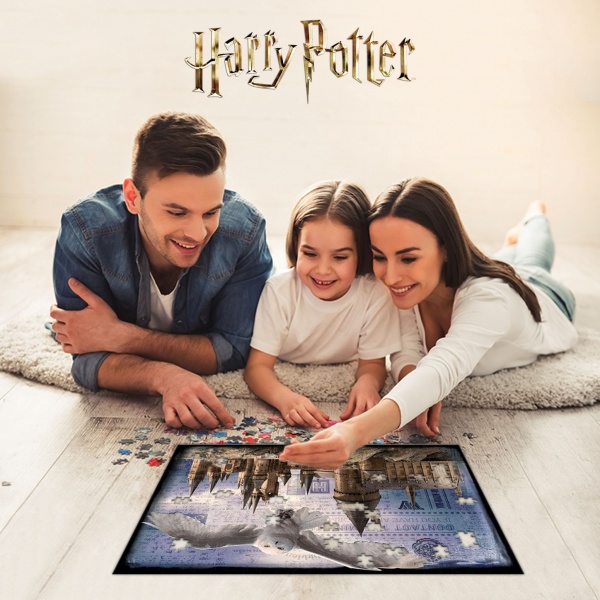 3D-пазл PRIME 3D 32513 Harry Potter Хогвартс Сова 500 деталей