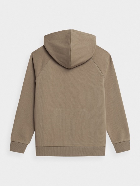 Джемпер 4F SWEATSHIRT M220 4FJSS23TSWSM220-83S р. 158 бежевый