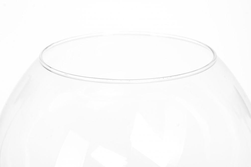 Ваза-аквариум Wrzesniak Glassworks стеклянная 17-109B 17 см