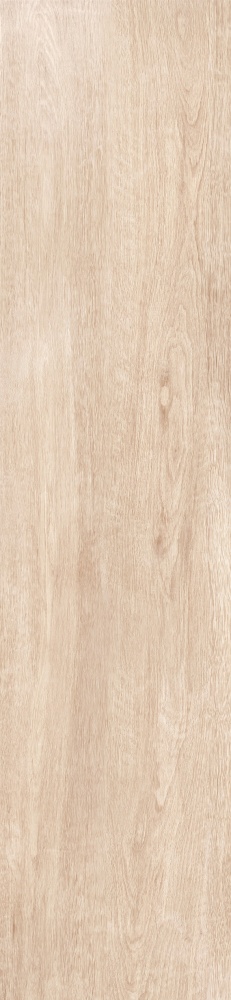 Плитка Allore Group Tahoe Beige F PR R Mat 30х120 см