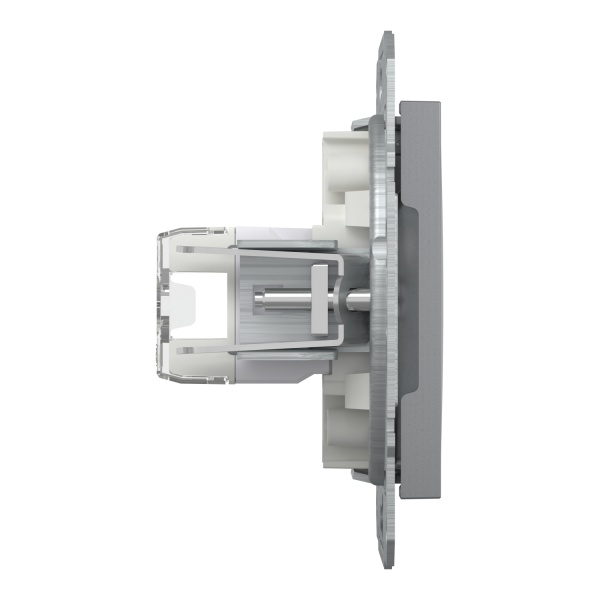 Розетка комп’ютерна Schneider Electric Asfora IP20 сталь EPH4300162