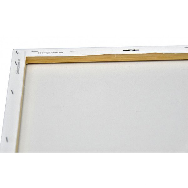 Картина по номерам Нежные одуванчики bk_1014 50x40 см BookOpt 