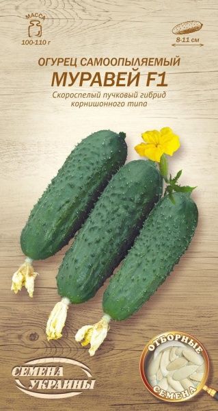 Семена Семена Украины огурец самоопыляемый Муравей F1 596900 0,25г