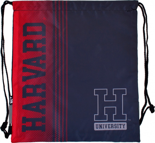 Сумка для взуття SB-10 Harvard YES