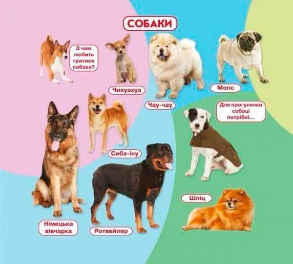 Книга «Свійські тварини. Книжка + віконця» 978-966-936-667-2