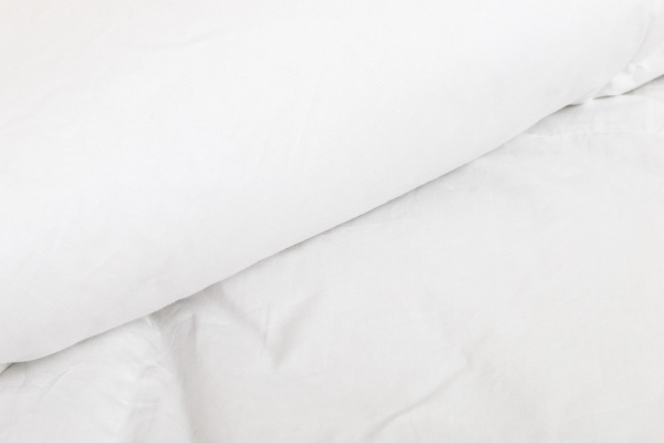 Ковдра пухова Flaum 200x220 см Songer und Sohne білий