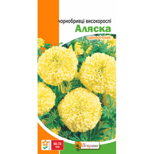 Семена Яскрава бархатцы высокорослые Аляска