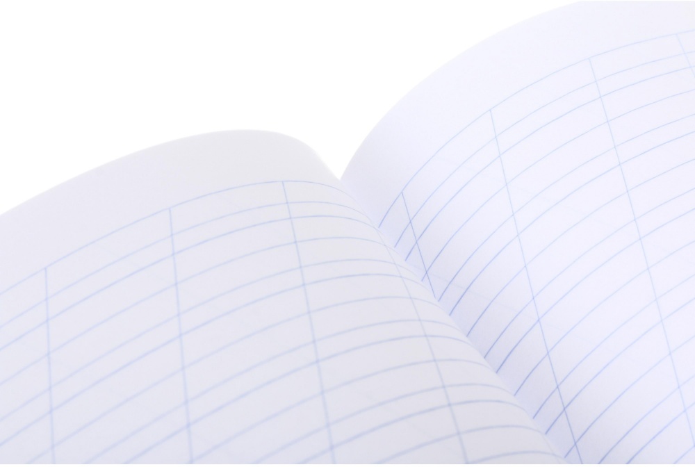 Тетрадь школьная Cat girl_25 12 листов скоба,косая линия Nota Bene