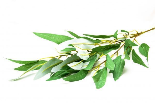 Квітка штучна гілочка Евкаліпту 95 см світло-зелена 631598