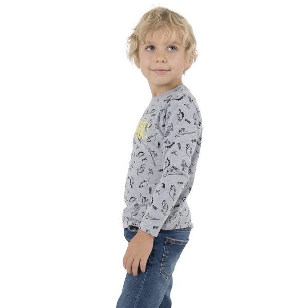 Джемпер для мальчика Funtime р.122 серый с принтом 