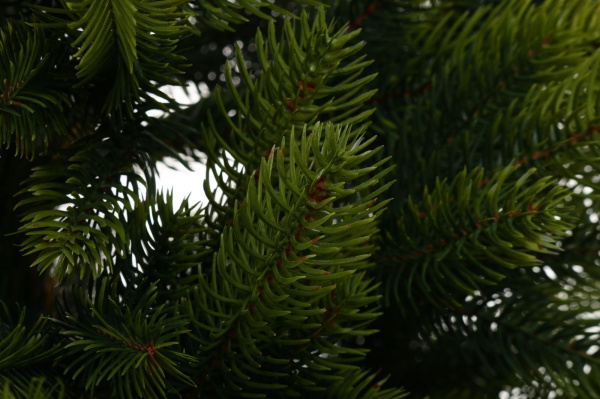 Искусственная елкаЛапландская 1,1 м весенняя в горшке зеленый 