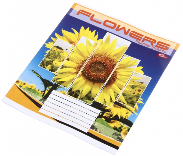 Зошит шкільний 24 аркуша у клітинку в асортименті Мрії збуваються