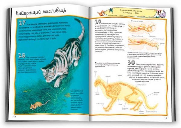 Книга Стив Паркер «100 фактів про котів і кошенят» 978-617-753-580-4