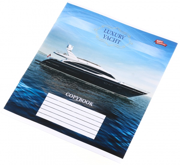 Тетрадь школьная 18 листов в линейку в ассортименте Мечты сбываются