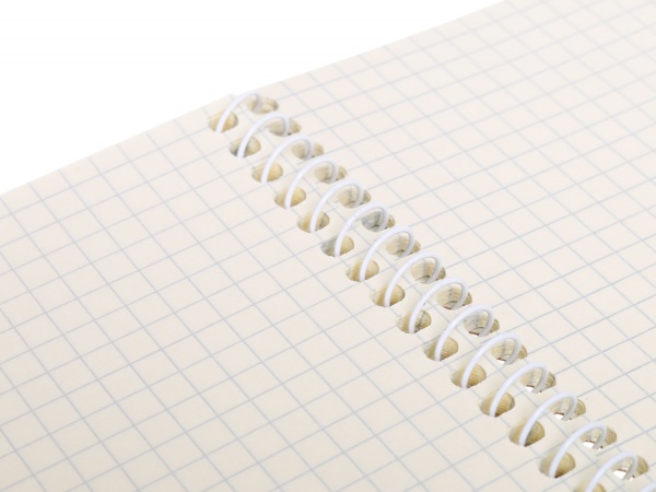 Тетрадь школьная Спираль A5 60 листов в клеточку