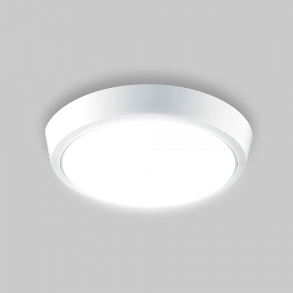 Світильник настінно-стельовий Luminaria 20 Вт білий 5500 К DLR 20W 