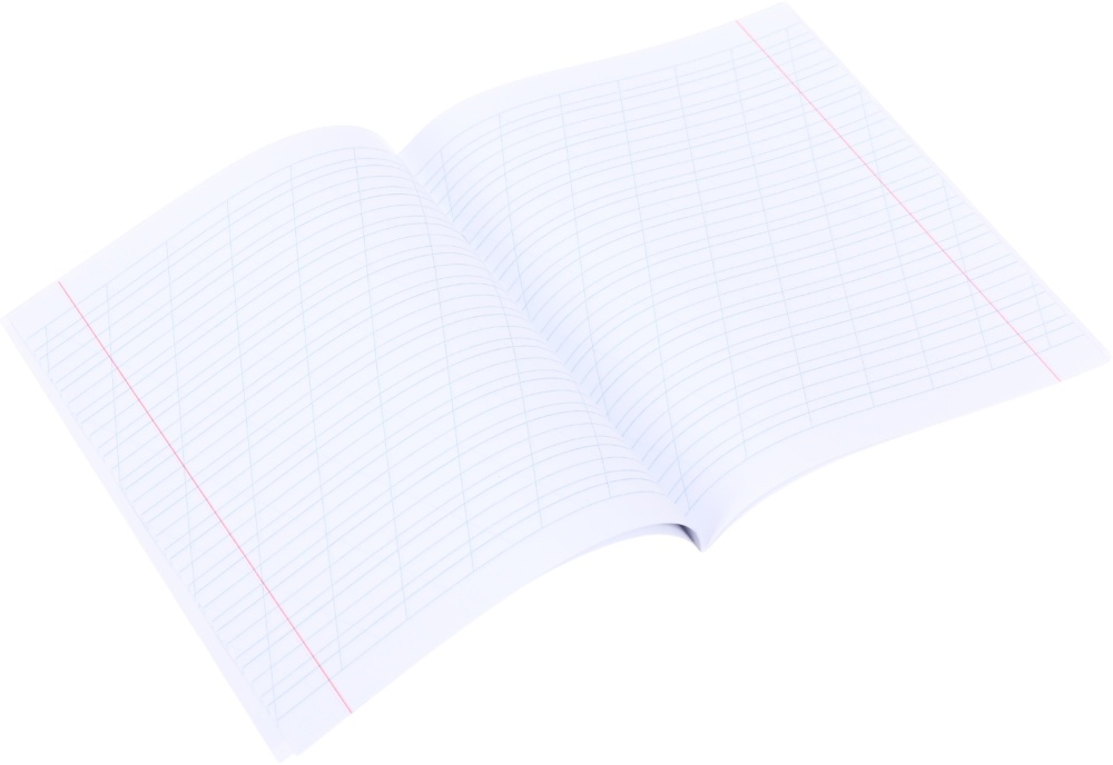 Тетрадь 12 листов в косую линию (2252547036013) Nota Bene