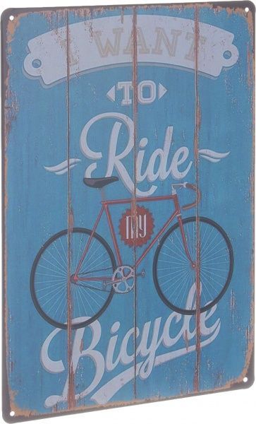 Табличка жестяная печатная Want to ride 30x20 см разноцветный 