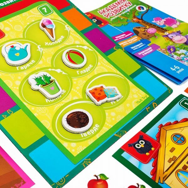 Гра магнітна Vladi Toys Академія розвитку VT5412-03