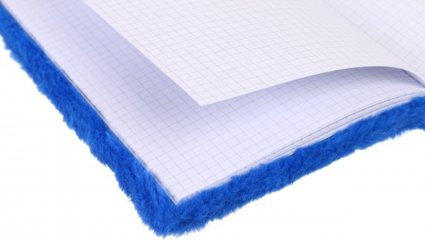 Книга для записей Земля 80 листов А5