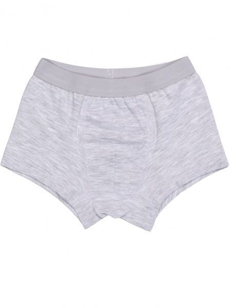 Трусы для мальчика Татошка 1113238смл р.116 серый меланж 