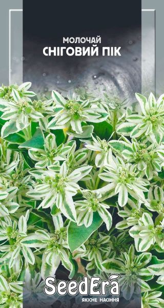 Насіння Seedera молочай Сніговий пік 0,5 г