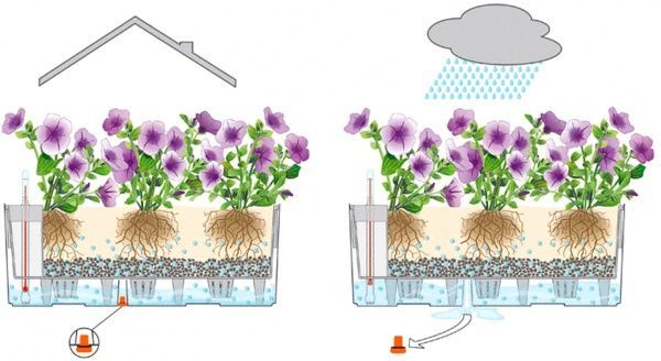 Ящик балконный Lechuza Balconera Cottage 50 15600 прямоугольный 18,1л белый 