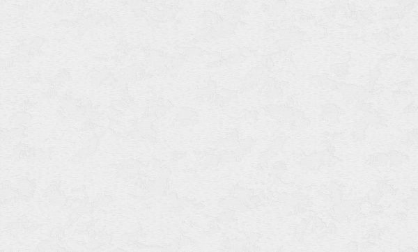 Шпалери вінілові на флізеліновій основі MEGAPOLIS 9173-00 1,06x10,05 м 