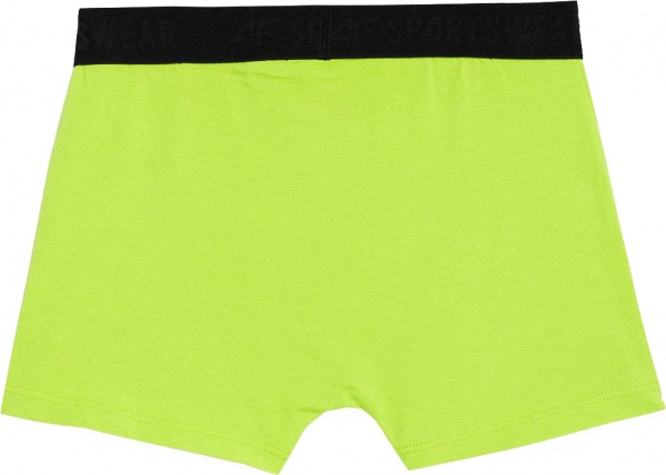 Плавки 4F BOXER SHORTS M026 (3PACK) 4FJAW23UBXSM026-90S разноцветный