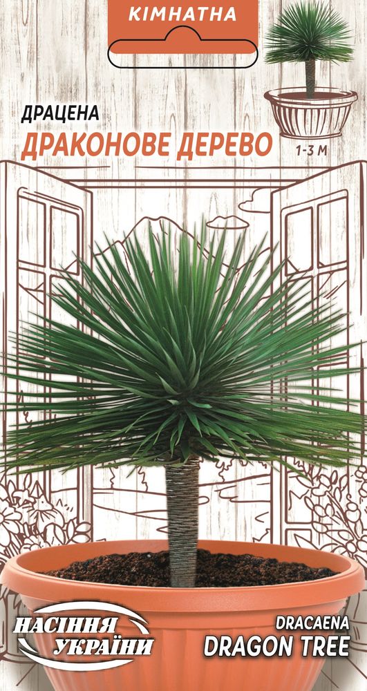 Насіння Драконове дерево