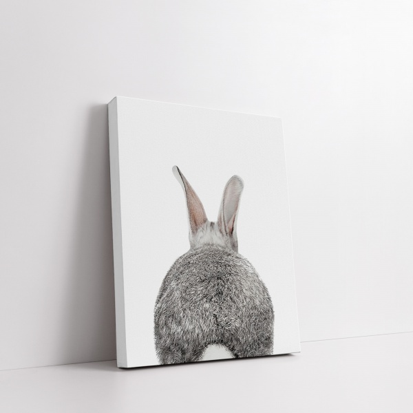 Картина на холсте Зайка з хвостиком 50x70 см WS Holst 14082211 
