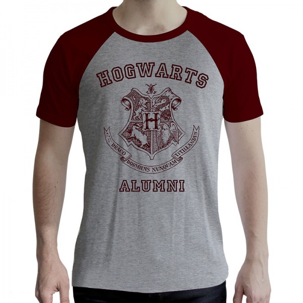 Футболка для хлопчиків Harry Potter Alumni р.170-176 сірий ABYTEX502M 