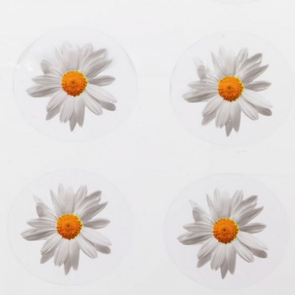 Клейонка на стіл Ромашка 8812 1,4 м