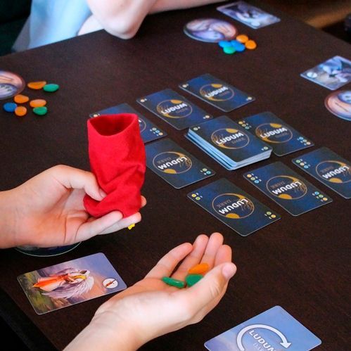 Гра настільна Ludum Ludum Еквілібріум LP8045-51