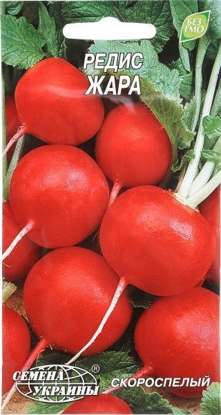 Насіння Семена Украины редиска Жара 3г