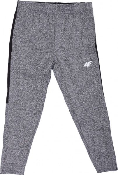 Штани 4F HJL20-JSPMTR001-23M р. 128 темно-сірий