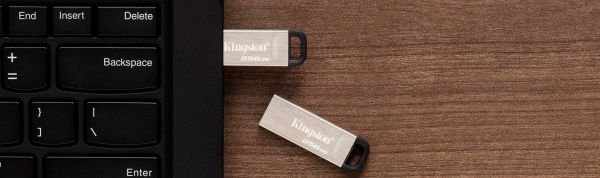 Флеш-память USB Kingston DataTraveler Kyson 256 ГБ USB 3.2 silver (DTKN/256GB) 