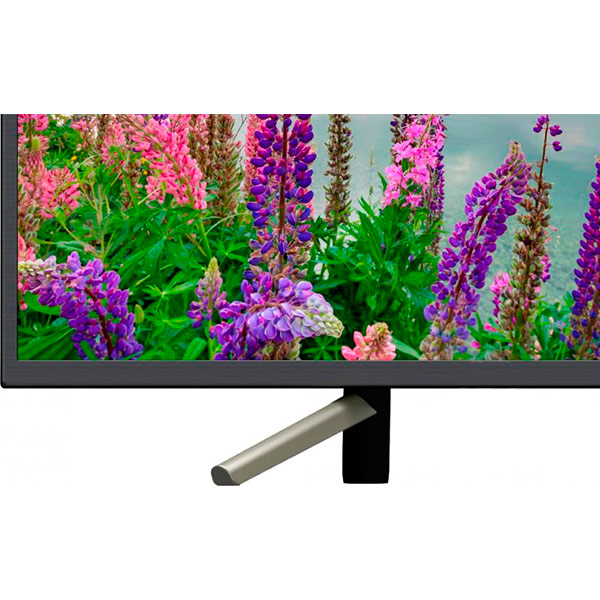 Телевізор Sony KDL49WF805BR