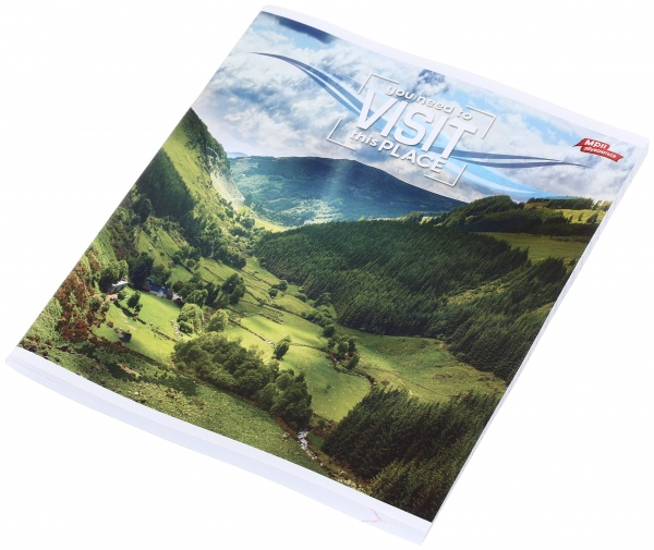 Тетрадь школьная 96 листов в линейку в ассортименте Мечты сбываются