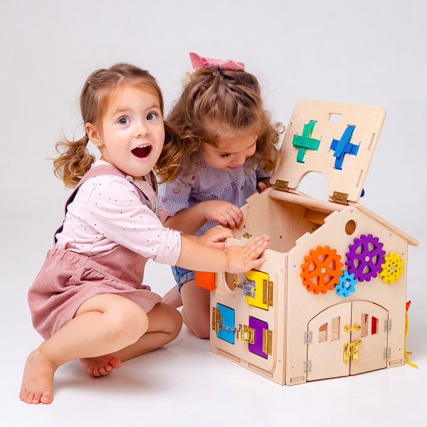 Игрушка деревянная Roter Kafer Бизихаус RW2001