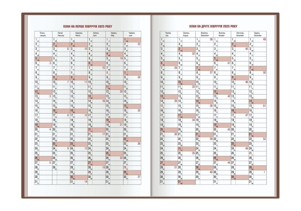 Дневник датированный VIVELLA O25230-11 Optima A5 2025 голубой