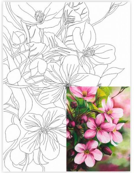 Полотно на картоні з контуром Натюрморт №28 Rosa Start 