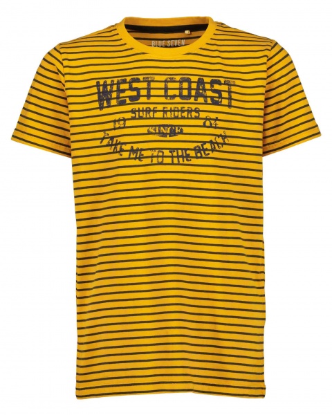 Футболка детские Blue Seven р.164 оранжевый 602764 X_253_р.164 