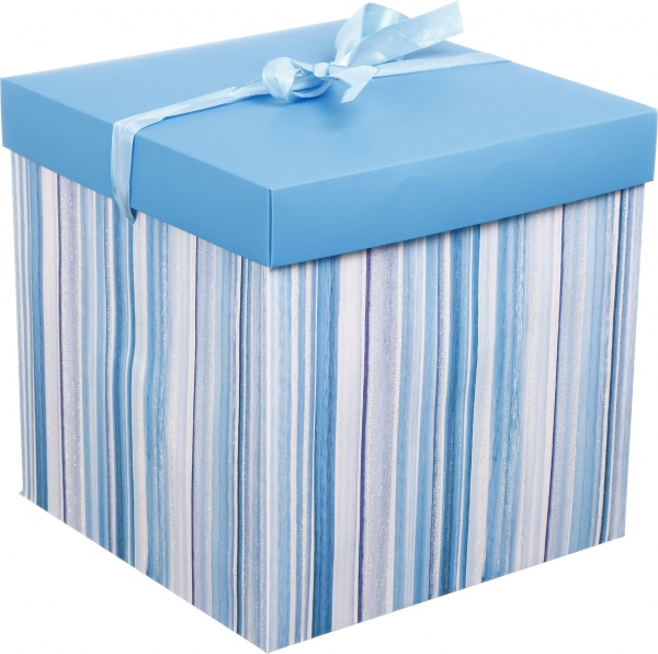 Коробка самозбірна EBXL9801 25х25 см