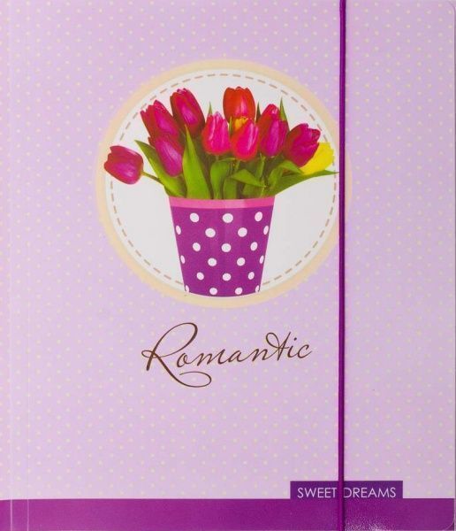 Папка на резинке В5 Sweet Dreams L6210 LEO