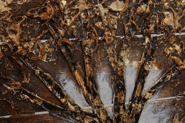 Картина Дерево брауни 91x91 см W315 