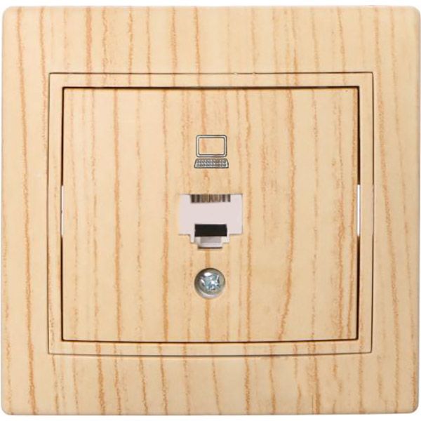 Розетка комп’ютерна Lezard Mira дуб вибілений матовий 701-5252-139