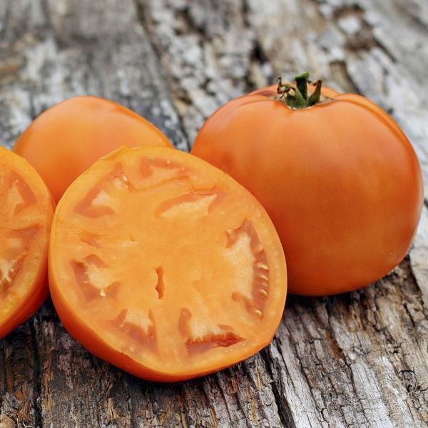 Семена Професійне насіння томат низкорослый Солидо F1 10 шт. (4820176694058)